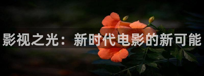 青丝影院免费观看电视剧高清全集