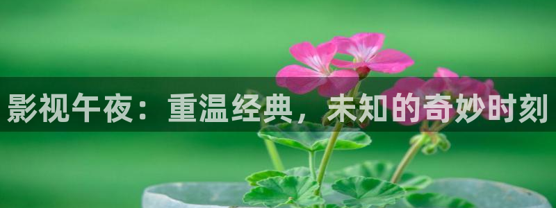 青丝影院在线全集观看